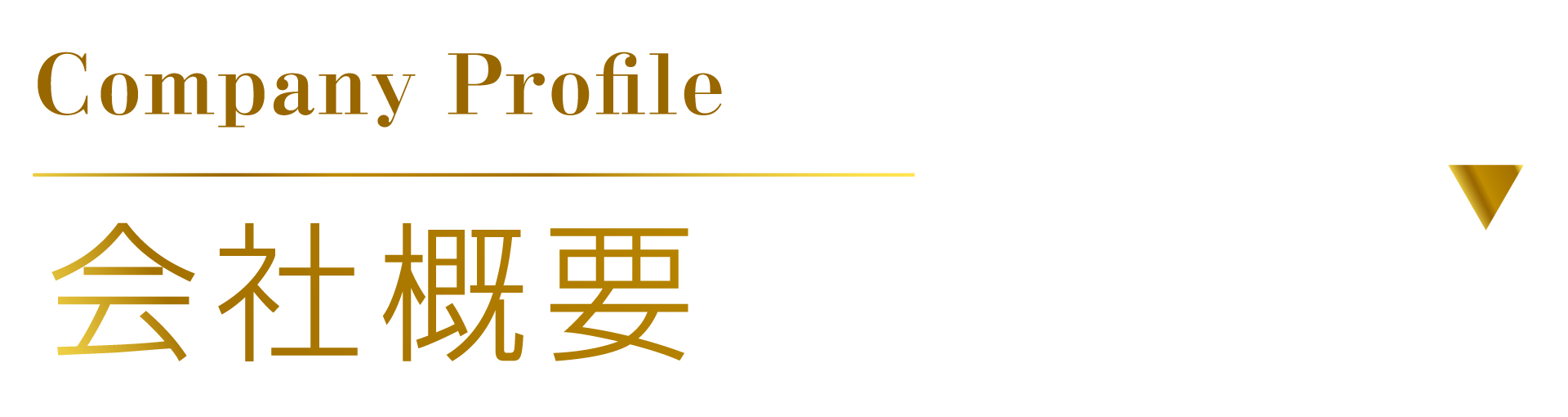 1731291770451212.png company-1.png