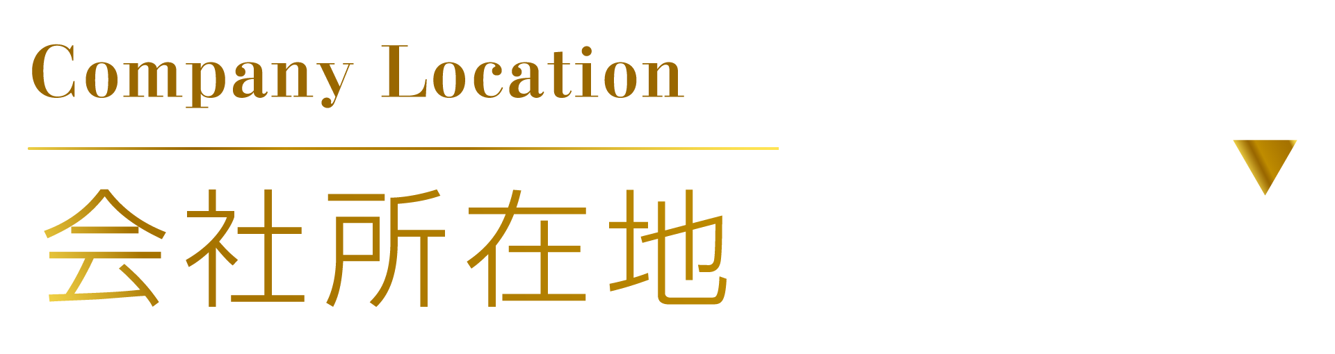 1731291789346207.png company-2.png